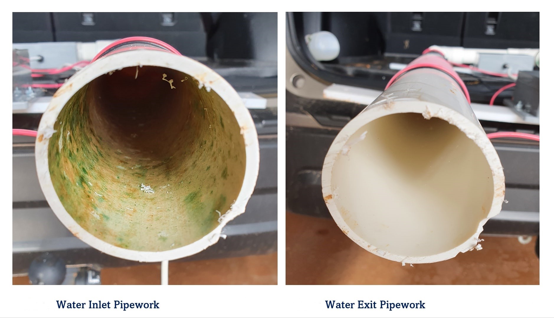 Reactive Water Removes Biofilm Reactive Water Removes Biofilm